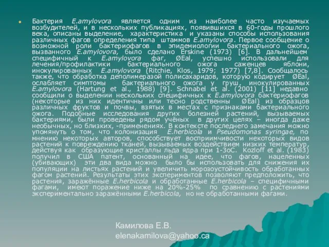 Камилова Е.В. elenakamilova@yahoo.ca Бактерия E.amylovora является одним из наиболее часто изучаемых возбудителей,