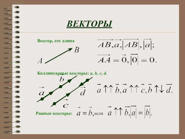 ВЕКТОРЫ