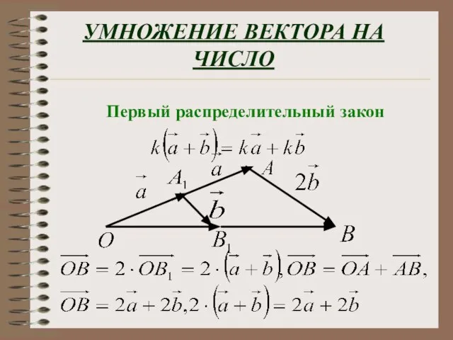 УМНОЖЕНИЕ ВЕКТОРА НА ЧИСЛО