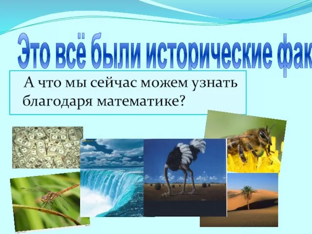 Это всё были исторические факты. А что мы сейчас можем узнать благодаря математике?