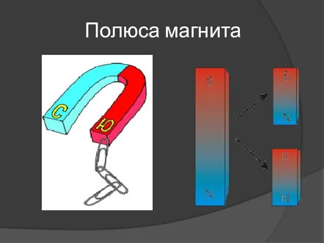 Полюса магнита