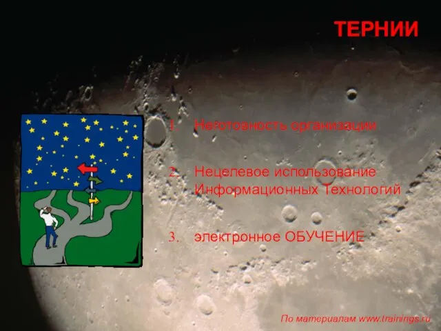 ТЕРНИИ Неготовность организации Нецелевое использование Информационных Технологий электронное ОБУЧЕНИЕ По материалам www.trainings.ru