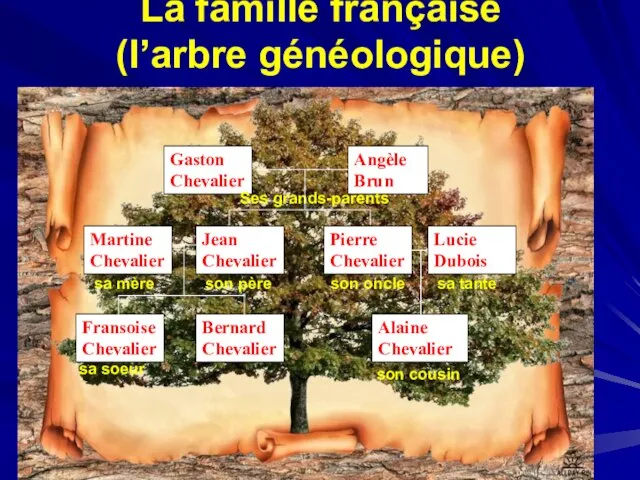 La famille française (l’arbre généologique) Ses grands-parents sa mère son père son