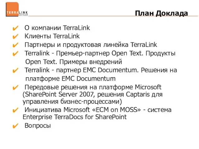 План Доклада О компании TerraLink Клиенты TerraLink Партнеры и продуктовая линейка TerraLink