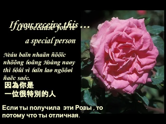 If you receive this … It’s because you’re a special person 因為你是