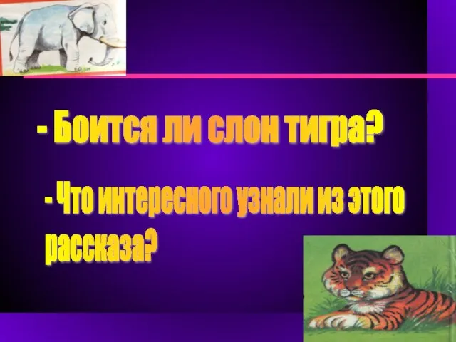 - Боится ли слон тигра? - Что интересного узнали из этого рассказа?