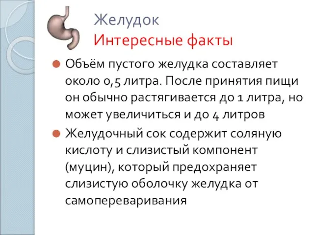 Желудок Интересные факты Объём пустого желудка составляет около 0,5 литра. После принятия