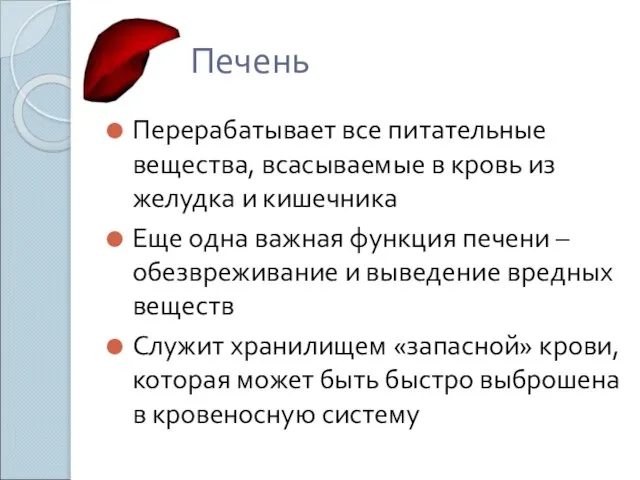 Печень Перерабатывает все питательные вещества, всасываемые в кровь из желудка и кишечника