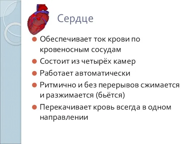 Сердце Обеспечивает ток крови по кровеносным сосудам Состоит из четырёх камер Работает