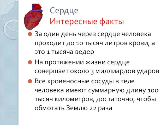 Сердце Интересные факты За один день через сердце человека проходит до 10