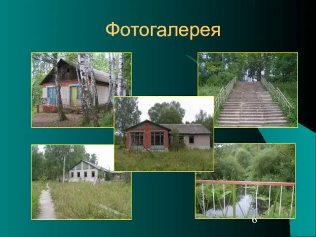 Фотогалерея