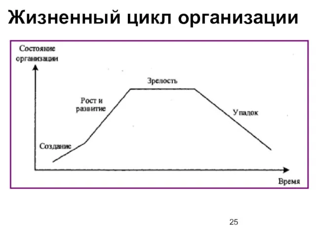 Жизненный цикл организации