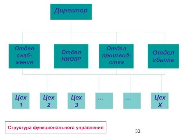 Структура функционального управления Директор