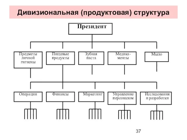 Дивизиональная (продуктовая) структура