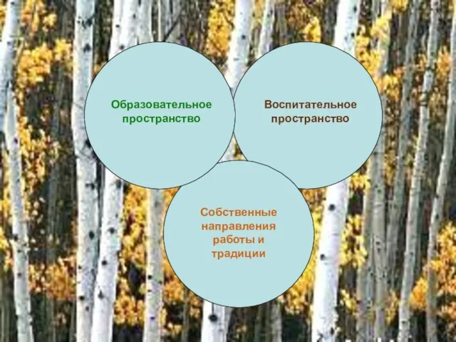 Образовательное пространство Воспитательное пространство Собственные направления работы и традиции