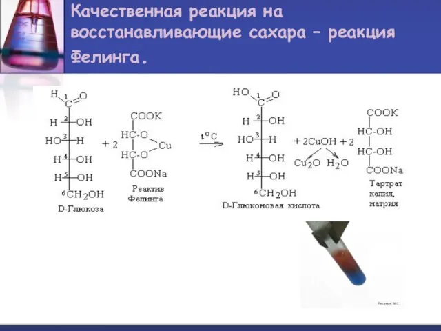 Качественная реакция на восстанавливающие сахара – реакция Фелинга.