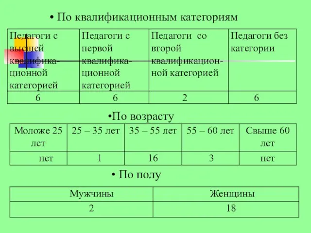 По квалификационным категориям По возрасту По полу