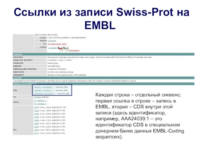 Ссылки из записи Swiss-Prot на EMBL Каждая строка – отдельный сиквенс; первая