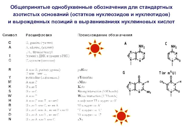 Общепринятые однобуквенные обозначения для стандартных азотистых оснований (остатков нуклеозидов и нуклеотидов) и