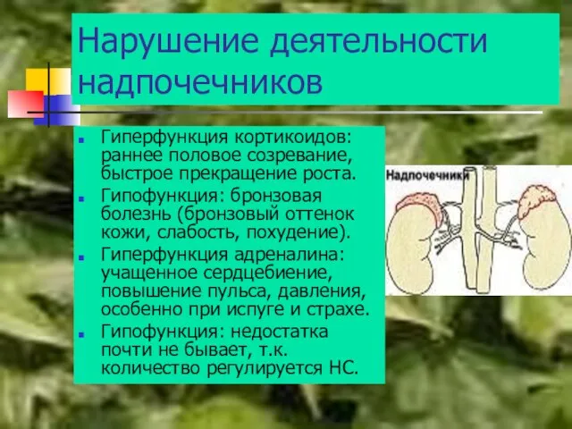 Нарушение деятельности надпочечников Гиперфункция кортикоидов: раннее половое созревание, быстрое прекращение роста. Гипофункция: