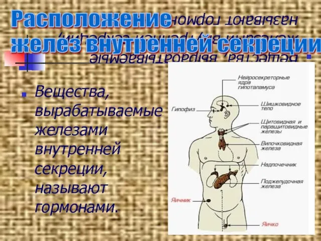 Вещества, вырабатываемые железами внутренней секреции, называют гормонами. Вещества, вырабатываемые железами внутренней секреции,