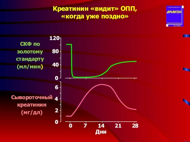 Креатинин «видит» ОПП, «когда уже поздно» 120 40 80 0 СКФ по