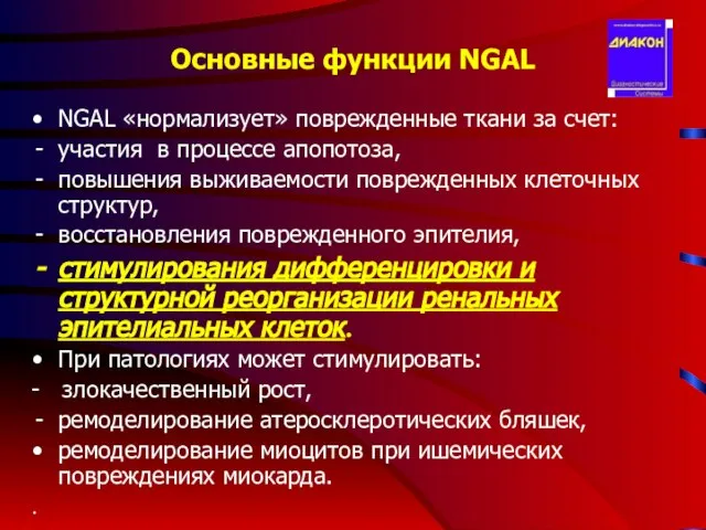 Основные функции NGAL NGAL «нормализует» поврежденные ткани за счет: участия в процессе