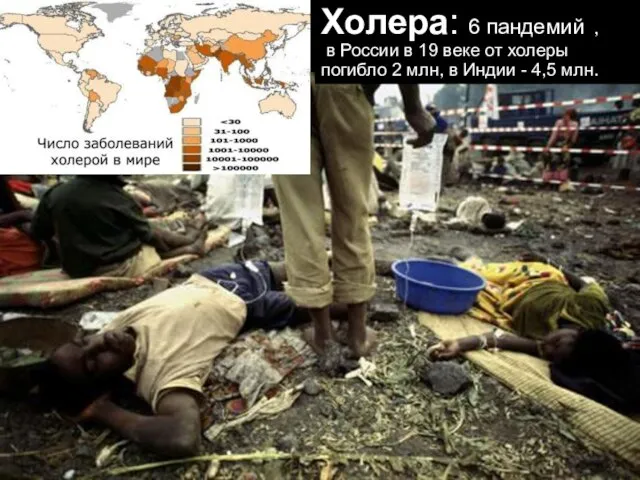 Холера: 6 пандемий , в России в 19 веке от холеры погибло