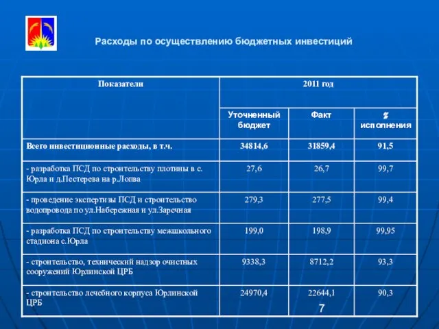 Расходы по осуществлению бюджетных инвестиций