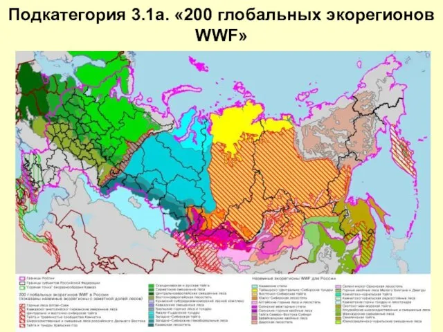 Подкатегория 3.1a. «200 глобальных экорегионов WWF»