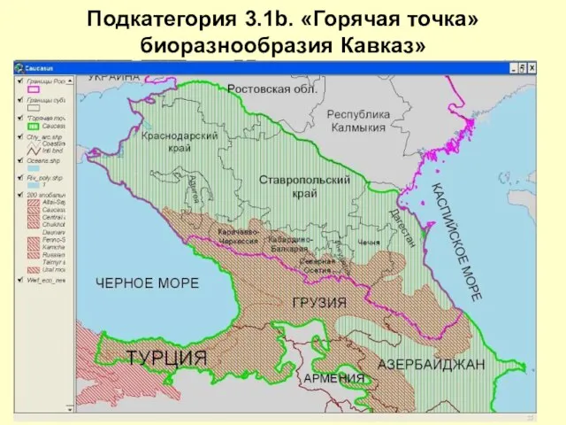Подкатегория 3.1b. «Горячая точка» биоразнообразия Кавказ»
