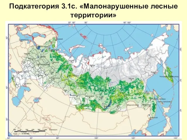 Подкатегория 3.1c. «Малонарушенные лесные территории»