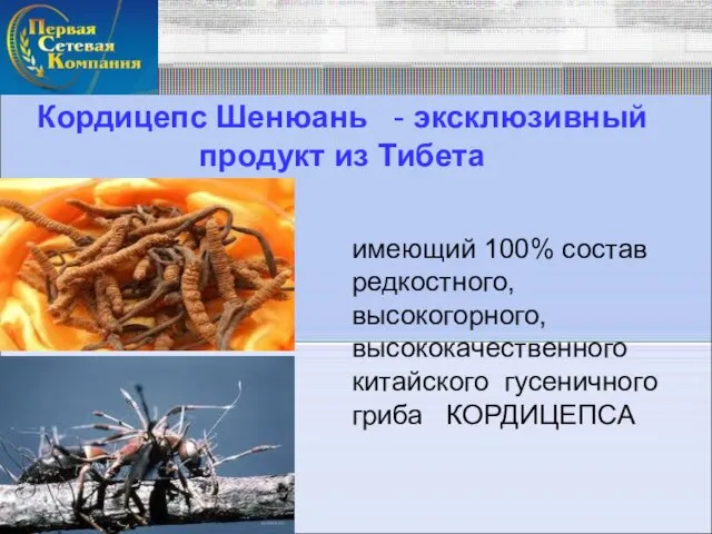 Кордицепс Шенюань - эксклюзивный продукт из Тибета имеющий 100% состав редкостного, высокогорного,