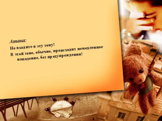 Атака: Не входите в эту зону! В этой зоне, обычно, происходит немедленное нападение, без предупреждения!