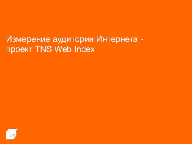 Измерение аудитории Интернета - проект TNS Web Index