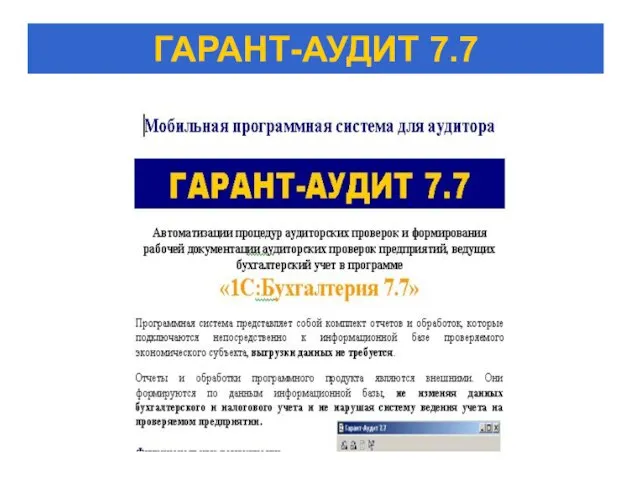 ГАРАНТ-АУДИТ 7.7