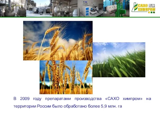 В 2009 году препаратами производства «САХО химпром» на территории России было обработано более 5,9 млн. га