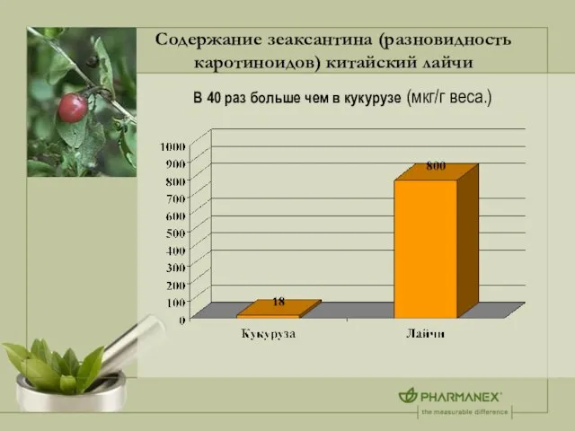 Содержание зеаксантина (разновидность каротиноидов) китайский лайчи В 40 раз больше чем в кукурузе (мкг/г веса.)