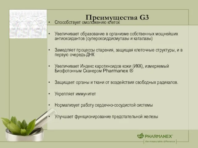 Преимущества G3 Способствует омоложению клеток Увеличивает образование в организме собственных мощнейших антиоксидантов