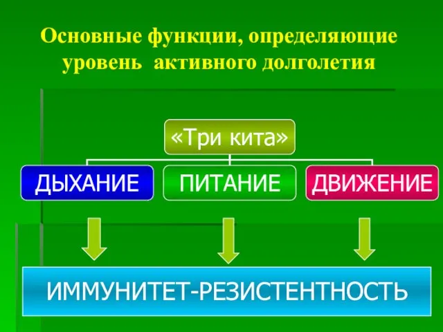 Основные функции, определяющие уровень активного долголетия ИММУНИТЕТ-РЕЗИСТЕНТНОСТЬ