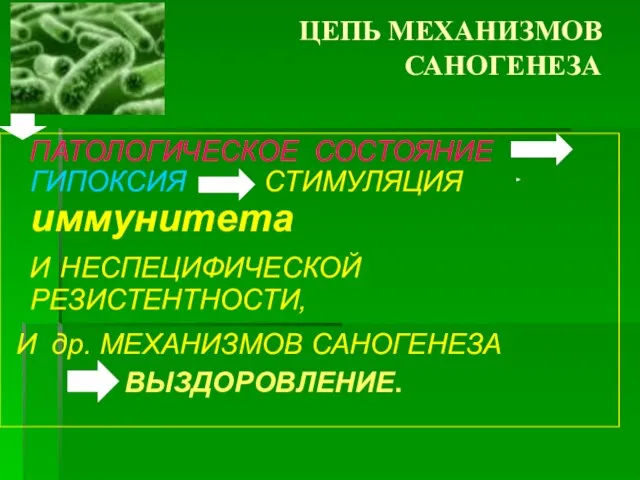 ЦЕПЬ МЕХАНИЗМОВ САНОГЕНЕЗА ПАТОЛОГИЧЕСКОЕ СОСТОЯНИЕ ГИПОКСИЯ СТИМУЛЯЦИЯ иммунитета И НЕСПЕЦИФИЧЕСКОЙ РЕЗИСТЕНТНОСТИ, И др. МЕХАНИЗМОВ САНОГЕНЕЗА ВЫЗДОРОВЛЕНИЕ.