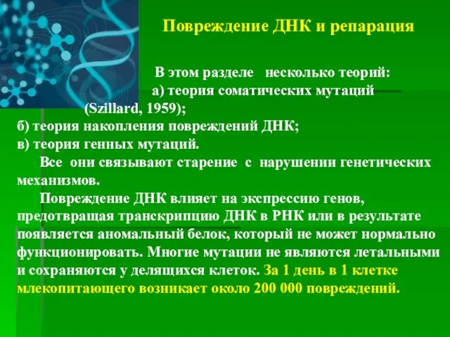 В этом разделе несколько теорий: а) теория соматических мутаций (Szillard, 1959); б)