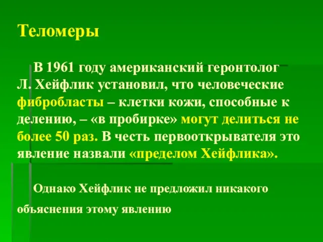 Теломеры В 1961 году американский геронтолог Л. Хейфлик установил, что человеческие фибробласты