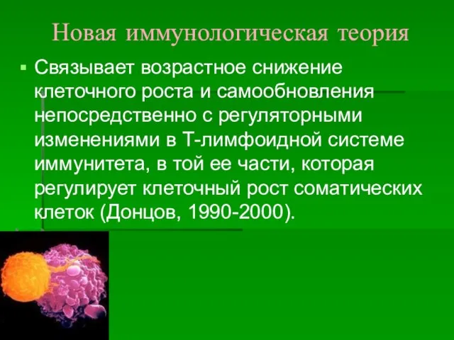 Новая иммунологическая теория Связывает возрастное снижение клеточного роста и самообновления непосредственно с