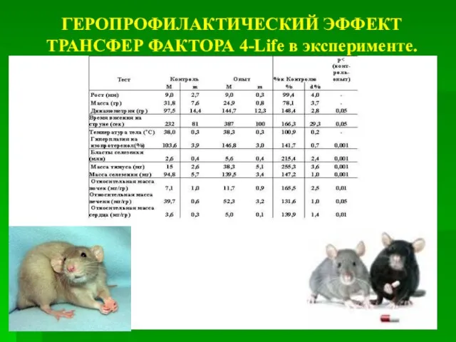 ГЕРОПРОФИЛАКТИЧЕСКИЙ ЭФФЕКТ ТРАНСФЕР ФАКТОРА 4-Life в эксперименте.