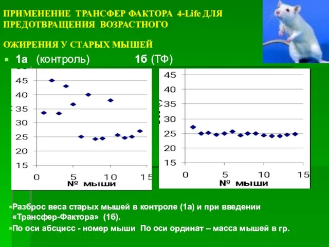 ПРИМЕНЕНИЕ ТРАНСФЕР ФАКТОРА 4-Life ДЛЯ ПРЕДОТВРАЩЕНИЯ ВОЗРАСТНОГО ОЖИРЕНИЯ У СТАРЫХ МЫШЕЙ 1а