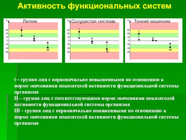 Активность функциональных систем Легкие Сосудистая система Тонкий кишечник I – группа лиц