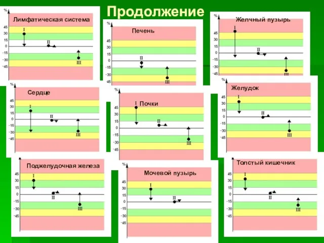 Продолжение Лимфатическая система Поджелудочная железа Печень Почки Мочевой пузырь Желчный пузырь Желудок Толстый кишечник Сердце