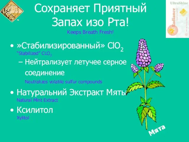 Сохраняет Приятный Запах изо Рта! Keeps Breath Fresh! »Стабилизированный» ClO2 “Stabilized” CLO2