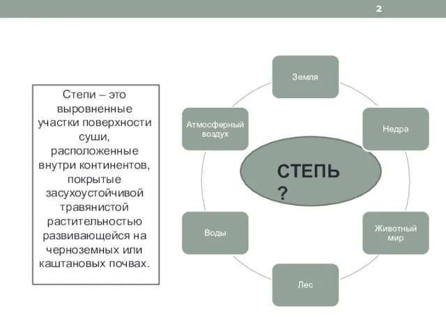 СТЕПЬ ? Степи – это выровненные участки поверхности суши, расположенные внутри континентов,